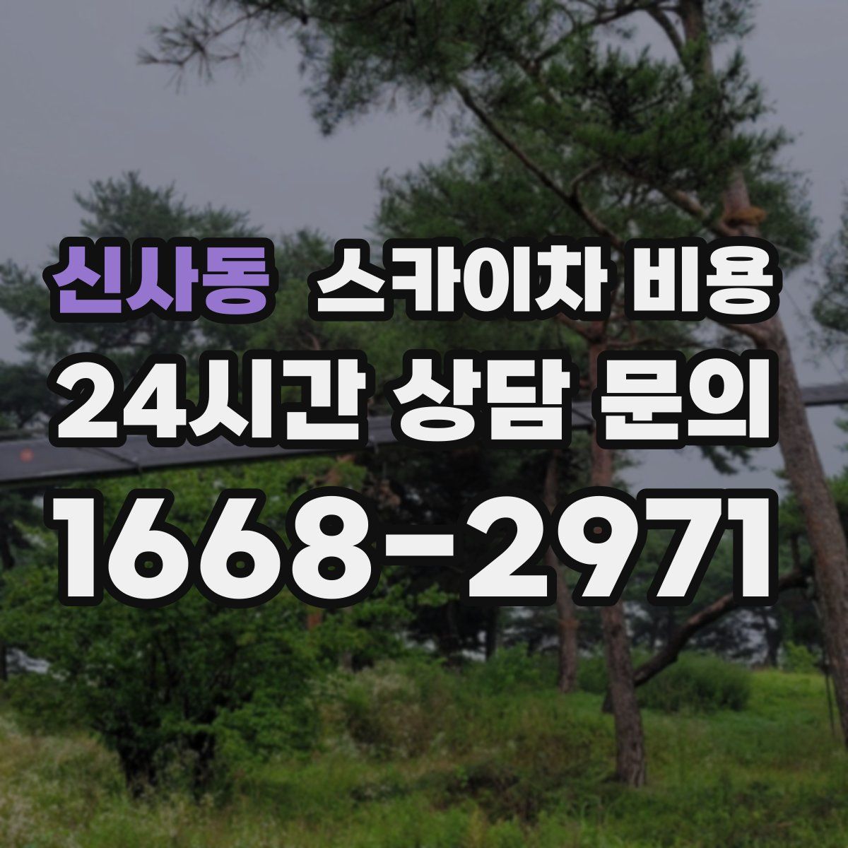 신사동 스카이차 비용