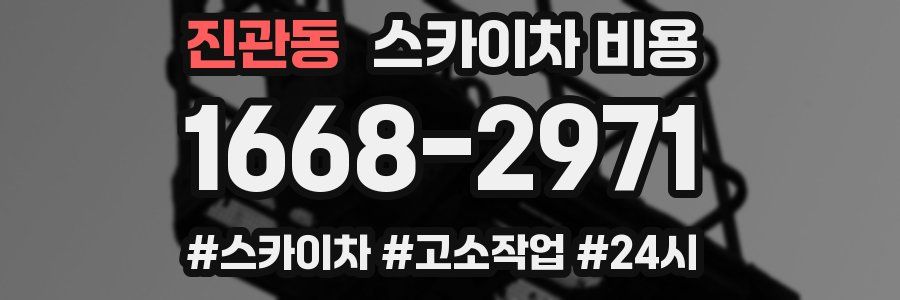 진관동 스카이차 비용