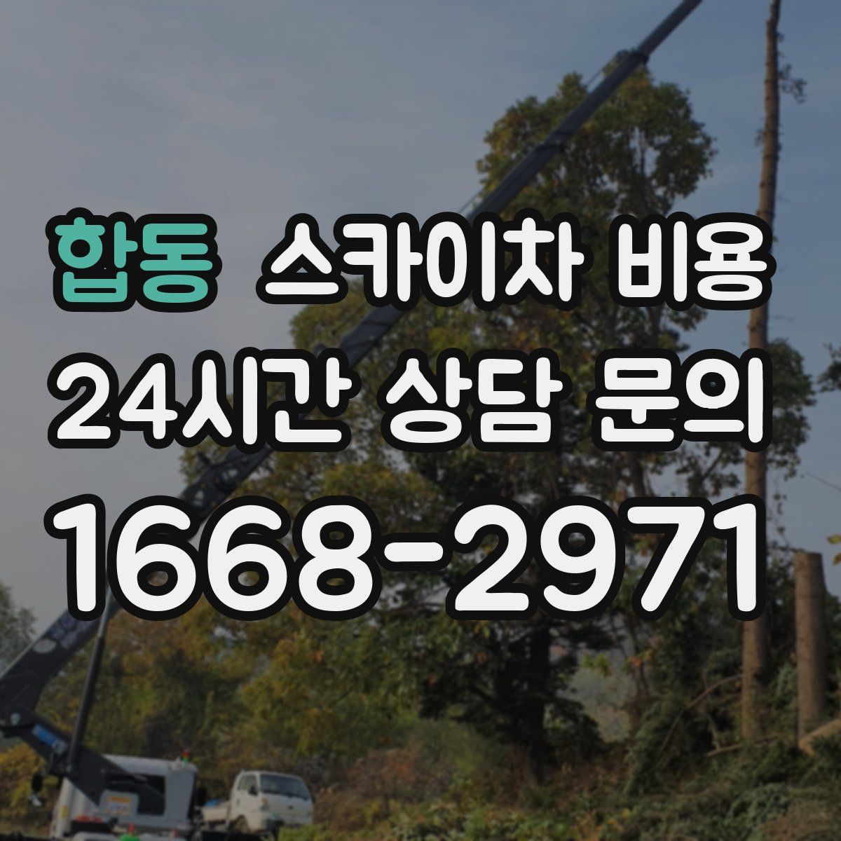 합동 스카이차 비용