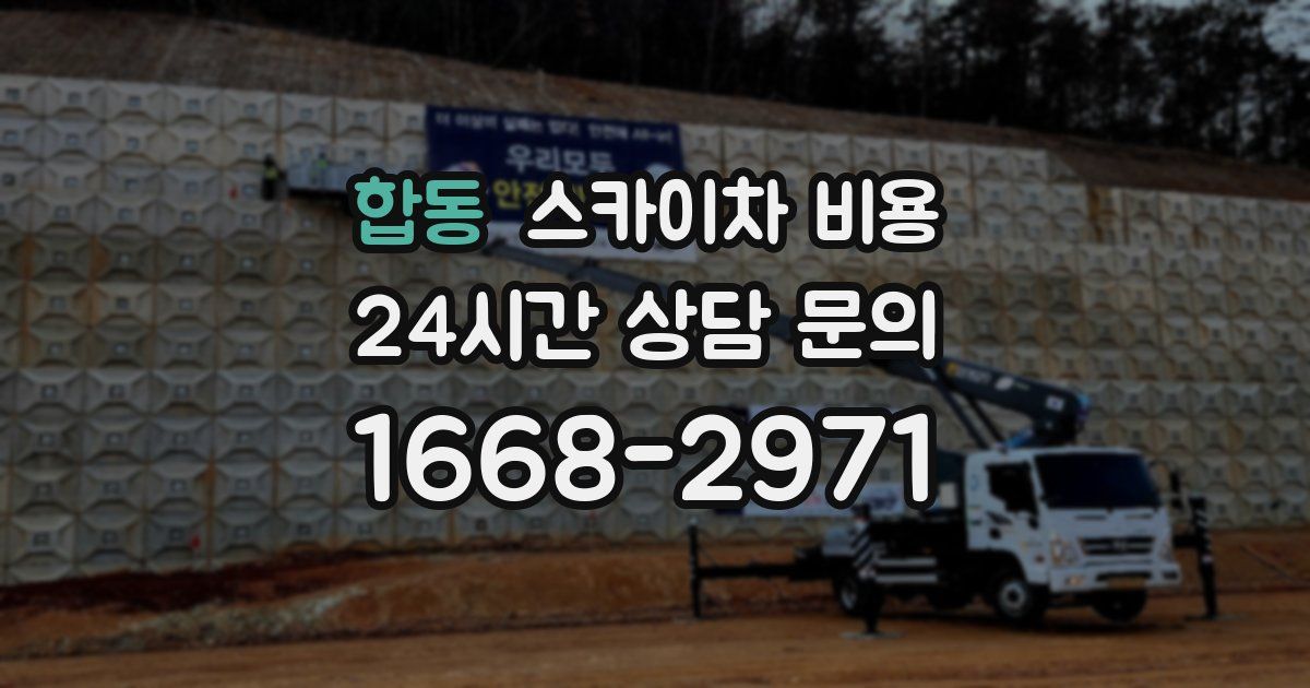 합동 스카이차 비용