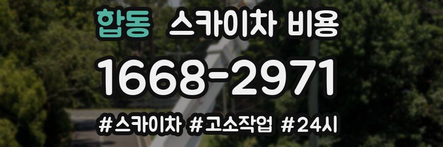 합동 스카이차 비용