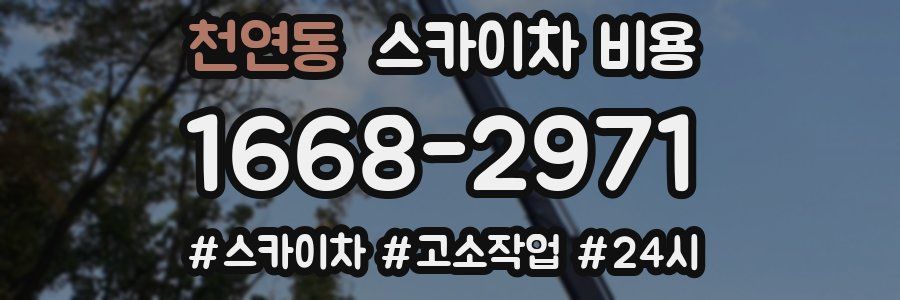 천연동 스카이차 비용