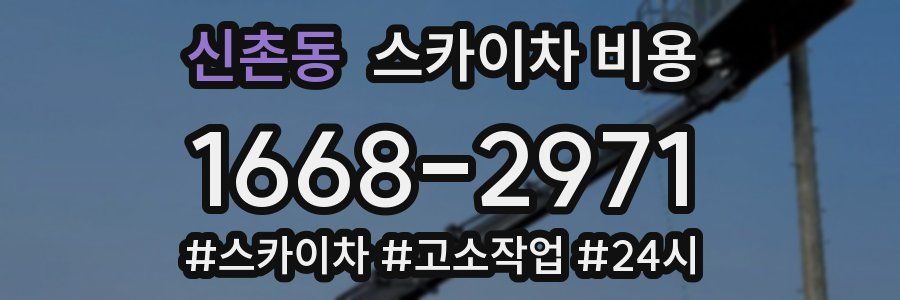 신촌동 스카이차 비용