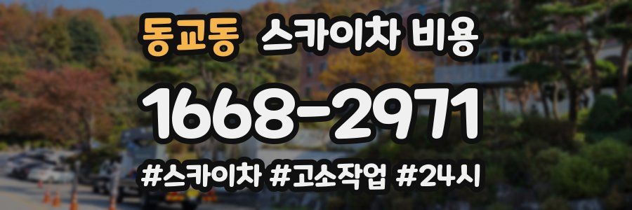 동교동 스카이차 비용