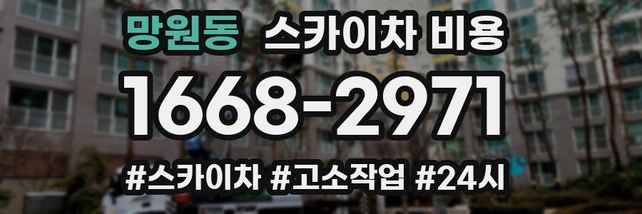 망원동 스카이차 비용
