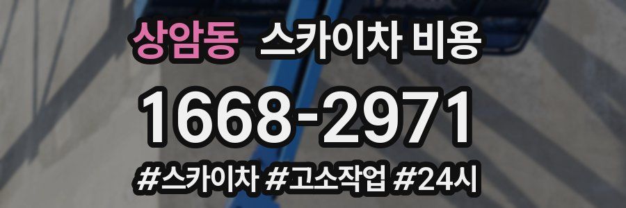 상암동 스카이차 비용