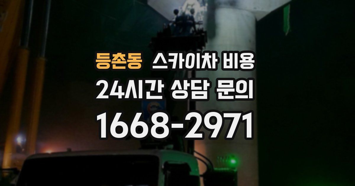 등촌동 스카이차 비용