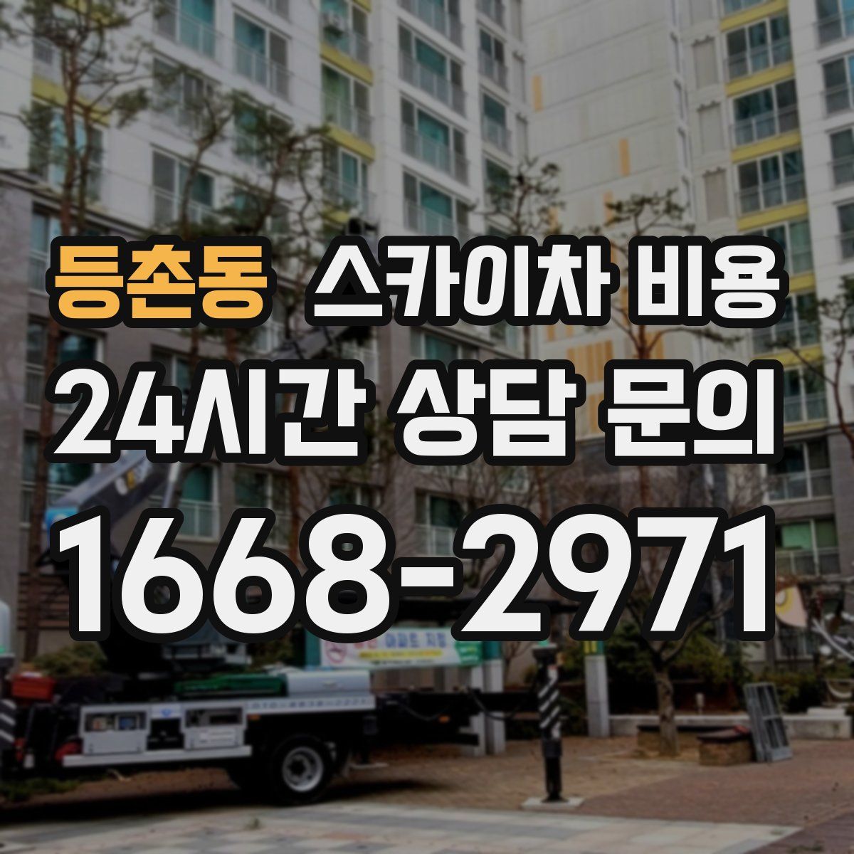 등촌동 스카이차 비용