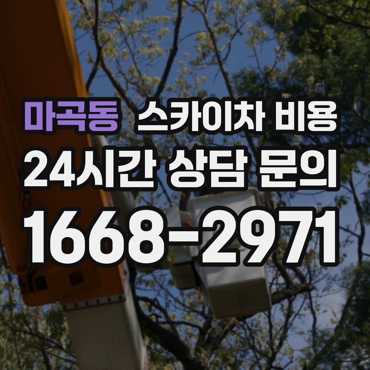 마곡동 스카이차 비용