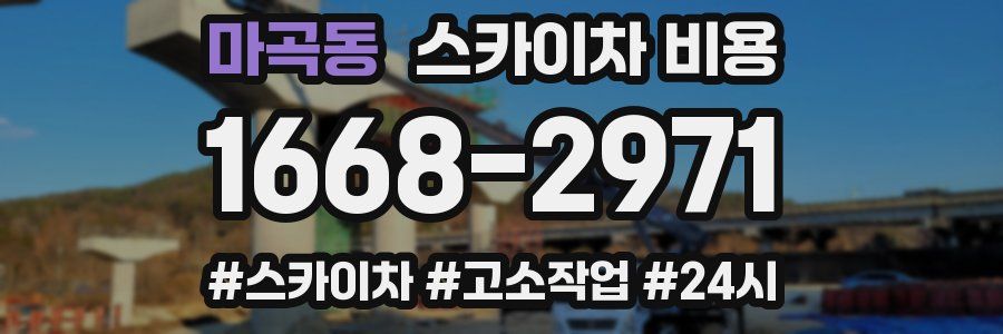 마곡동 스카이차 비용