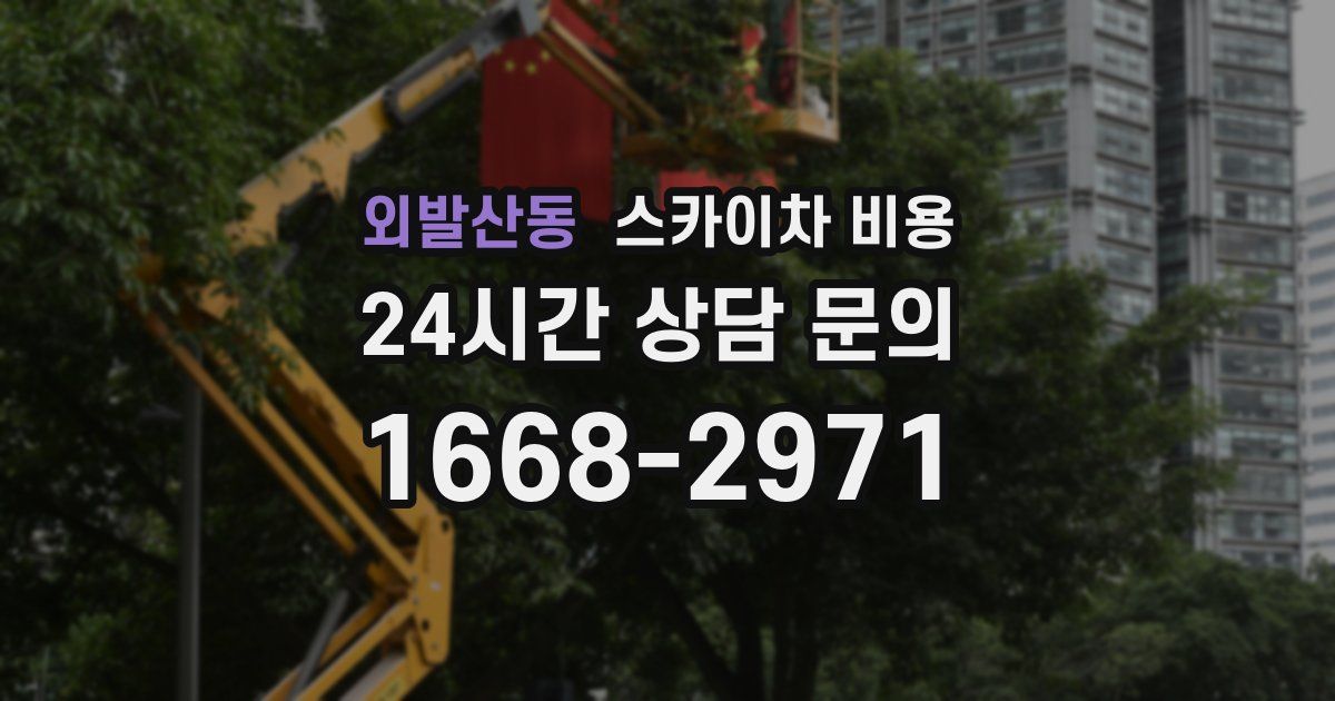 외발산동 스카이차 비용
