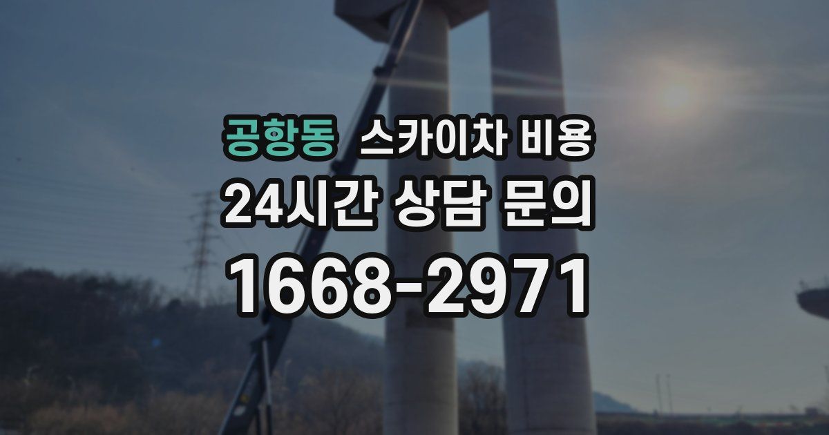 공항동 스카이차 비용