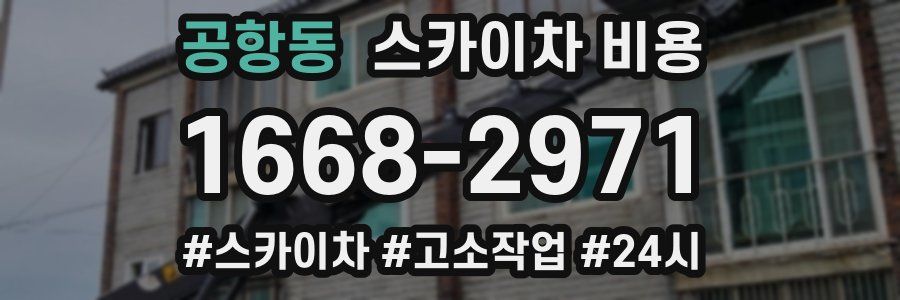 공항동 스카이차 비용