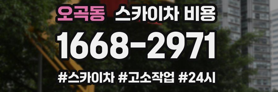 오곡동 스카이차 비용