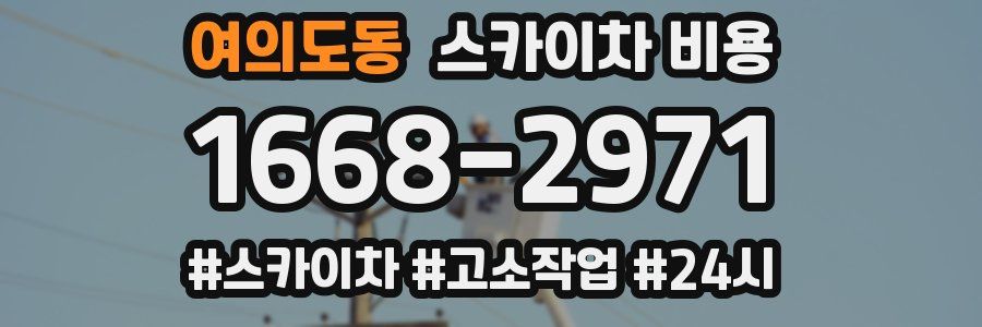 여의도동 스카이차 비용