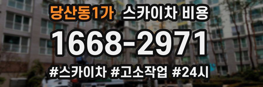 당산동1가 스카이차 비용