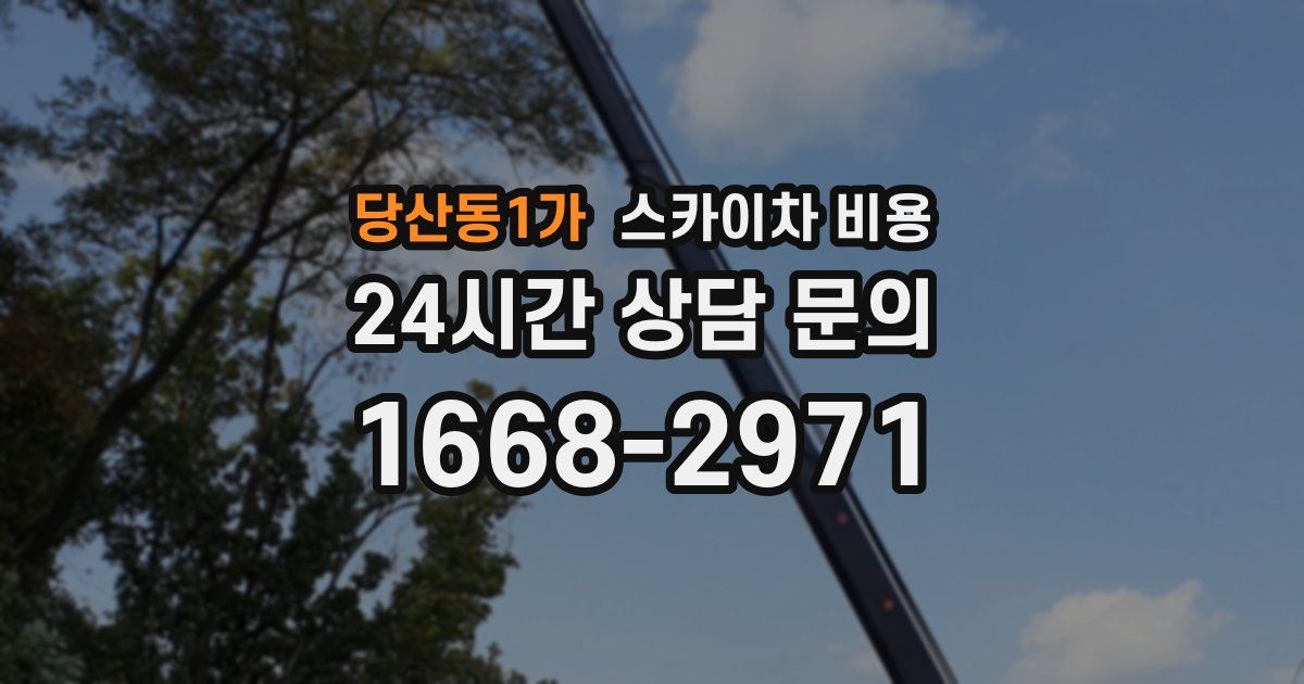 당산동1가 스카이차 비용