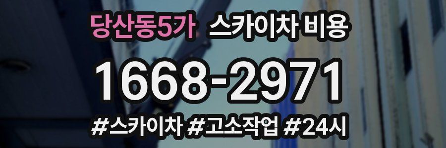 당산동5가 스카이차 비용