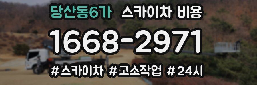 당산동6가 스카이차 비용