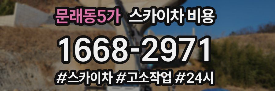 문래동5가 스카이차 비용