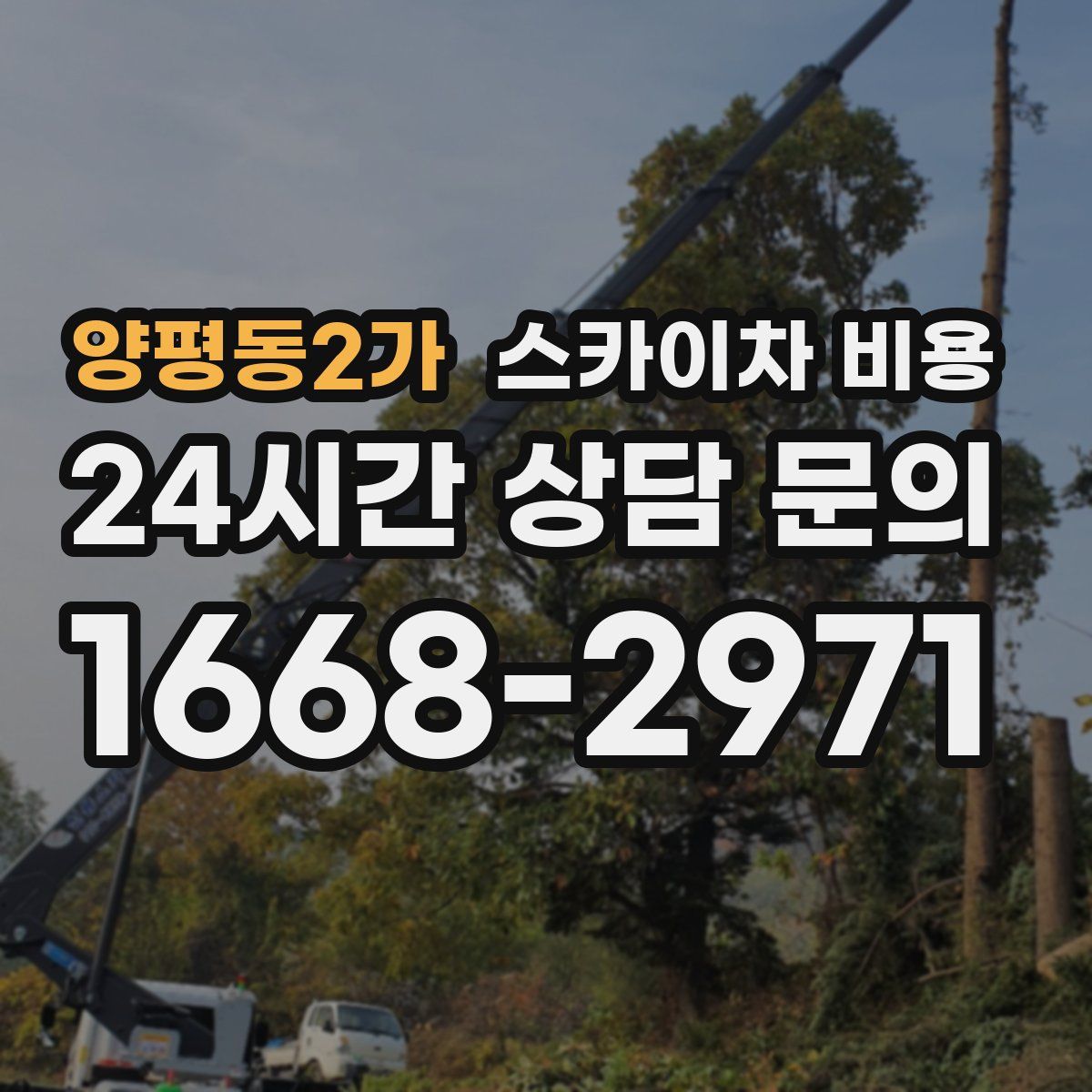 양평동2가 스카이차 비용