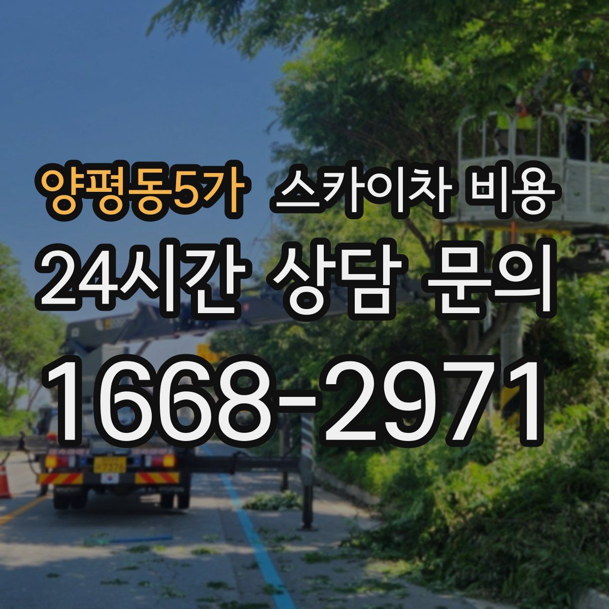 양평동5가 스카이차 비용