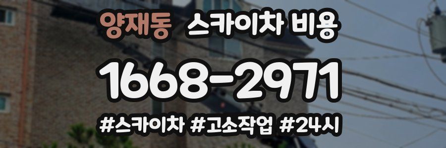 양재동 스카이차 비용