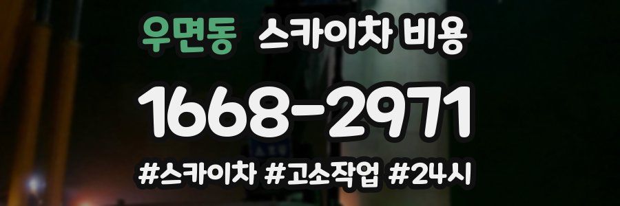 우면동 스카이차 비용