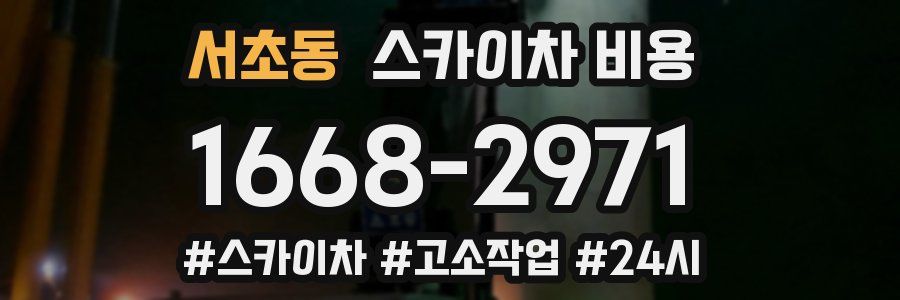 서초동 스카이차 비용