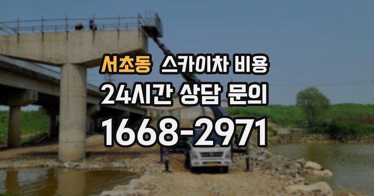 서초동 스카이차 비용