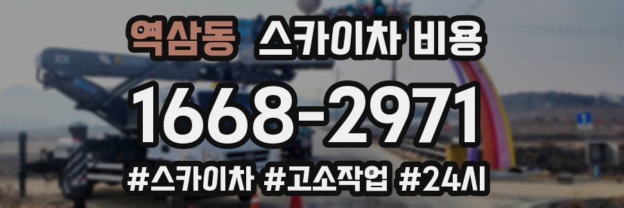 역삼동 스카이차 비용