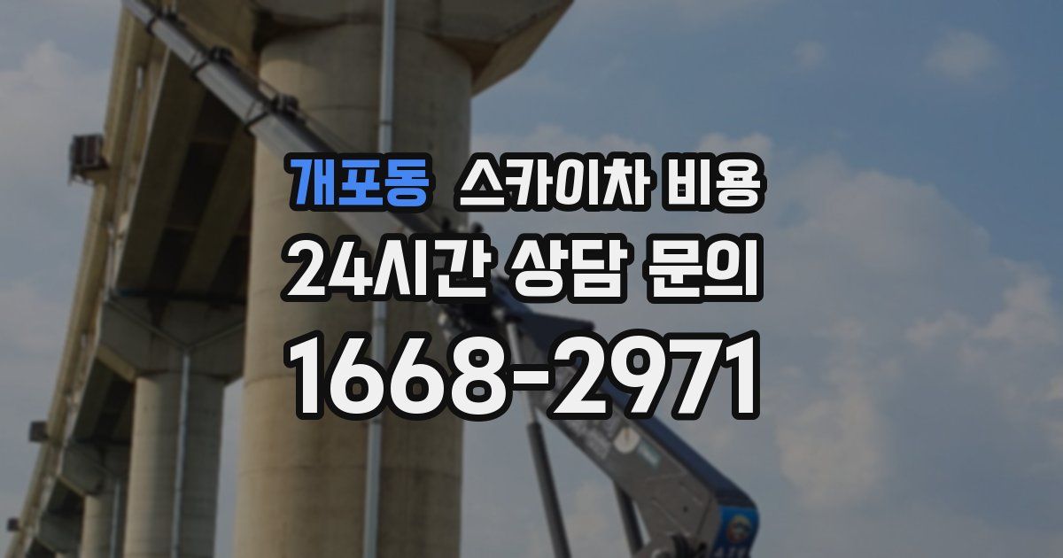 개포동 스카이차 비용