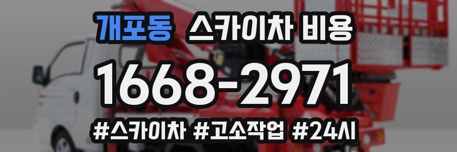 개포동 스카이차 비용