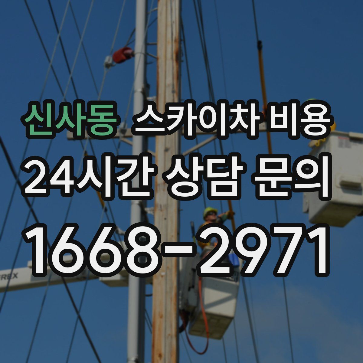 신사동 스카이차 비용