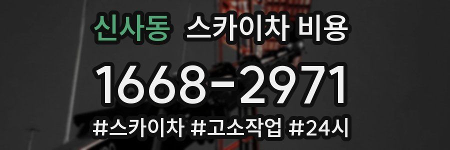 신사동 스카이차 비용