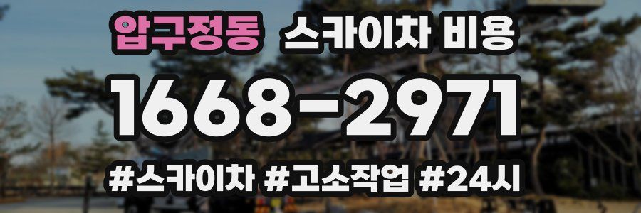 압구정동 스카이차 비용