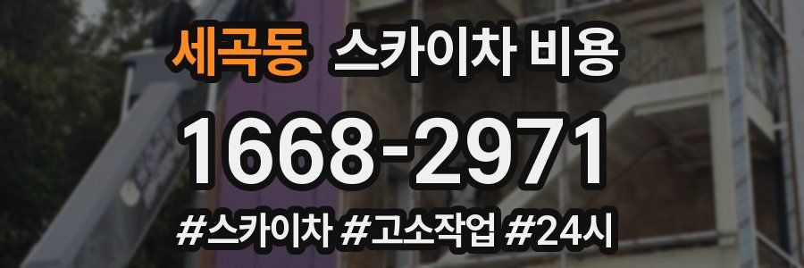 세곡동 스카이차 비용