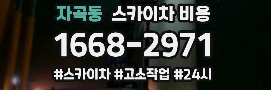 자곡동 스카이차 비용