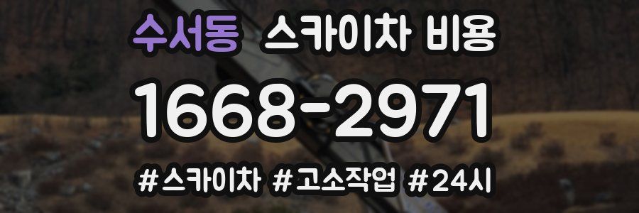 수서동 스카이차 비용