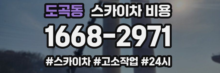 도곡동 스카이차 비용