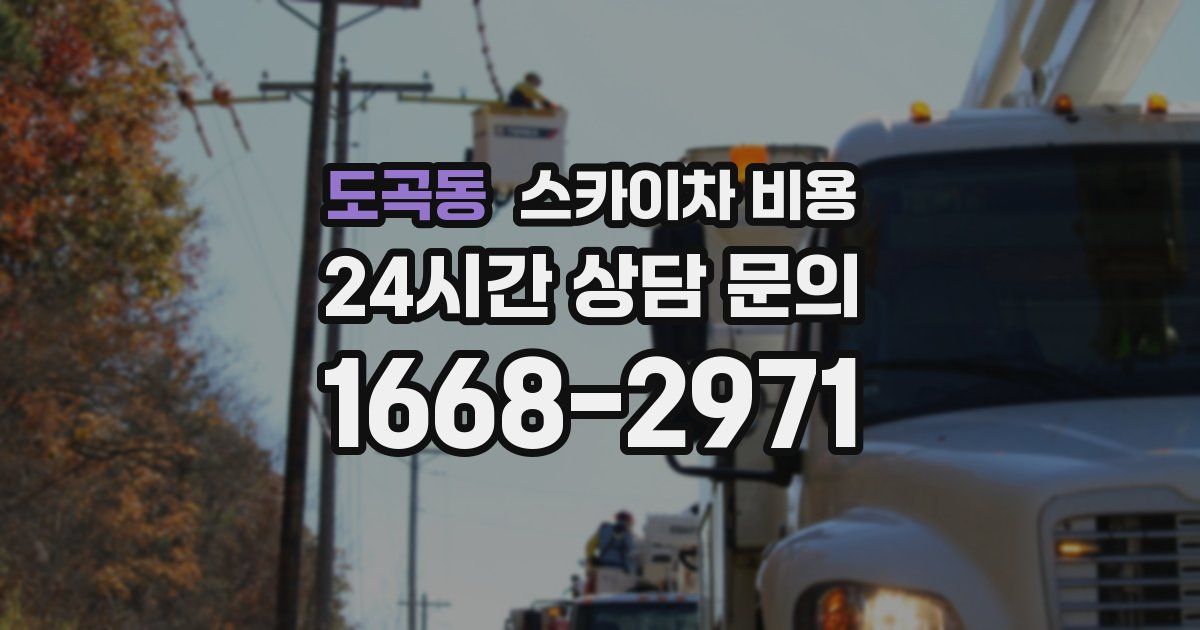 도곡동 스카이차 비용