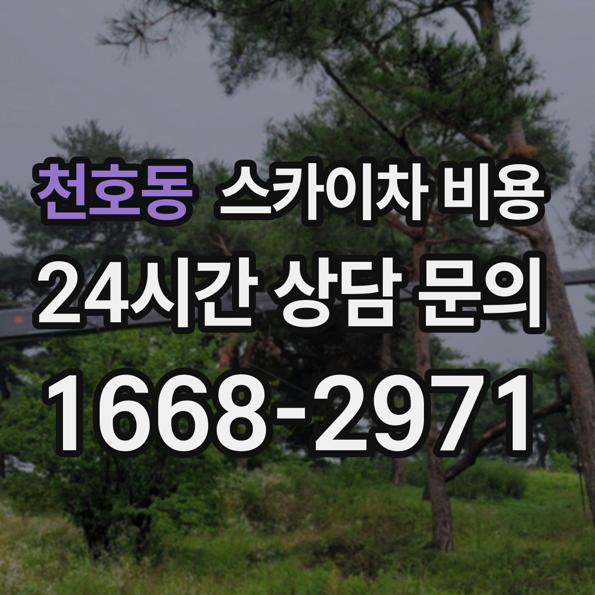 천호동 스카이차 비용