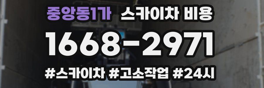 중앙동1가 스카이차 비용