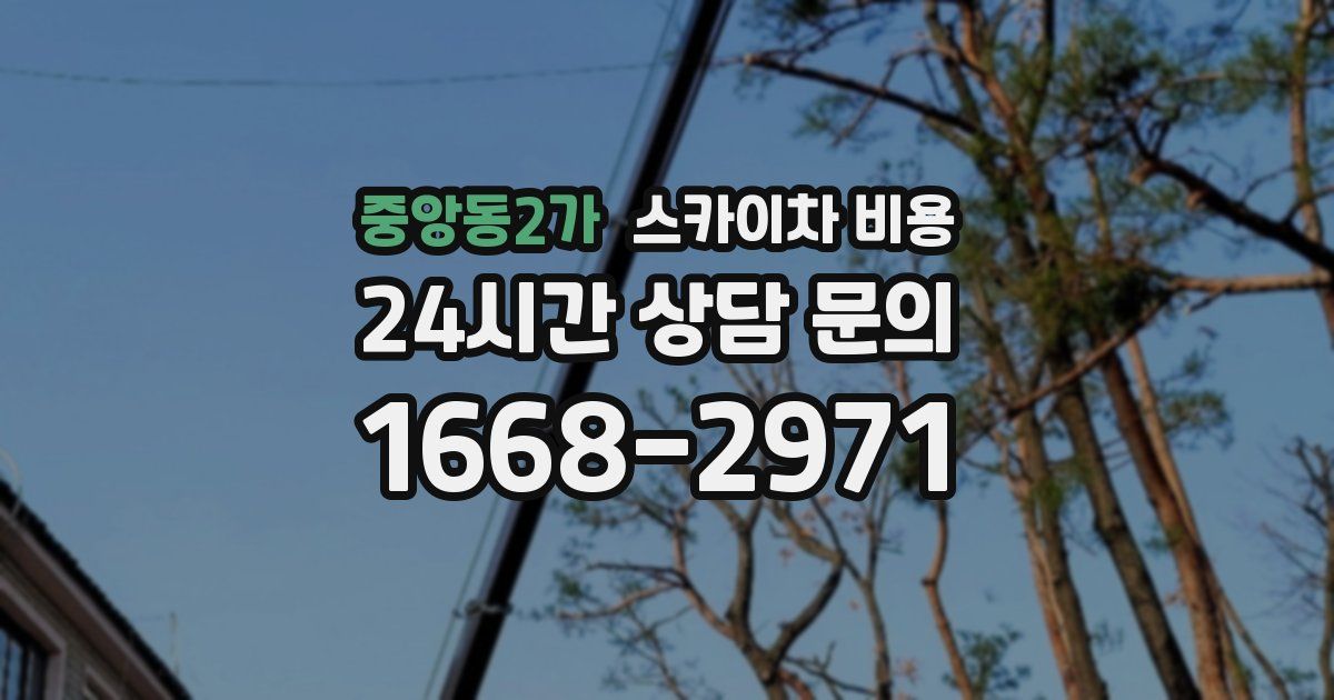 중앙동2가 스카이차 비용