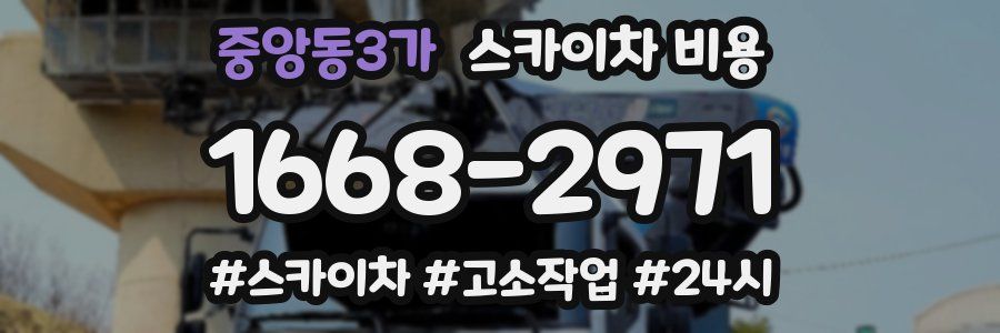 중앙동3가 스카이차 비용