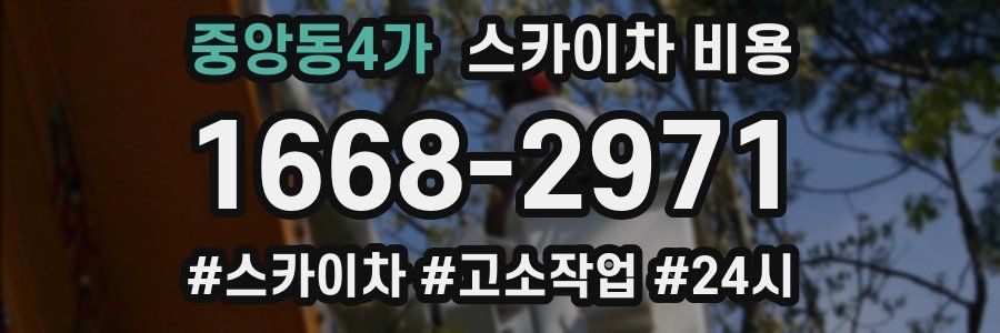 중앙동4가 스카이차 비용