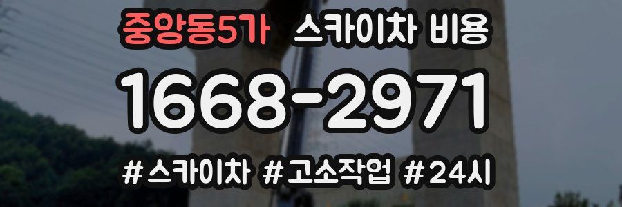 중앙동5가 스카이차 비용