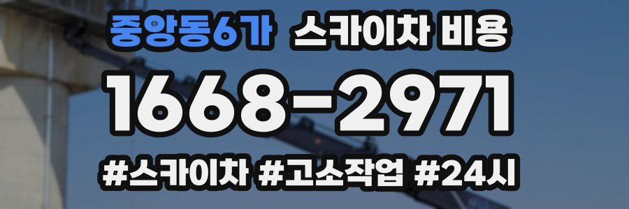 중앙동6가 스카이차 비용