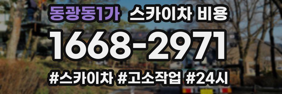 동광동1가 스카이차 비용