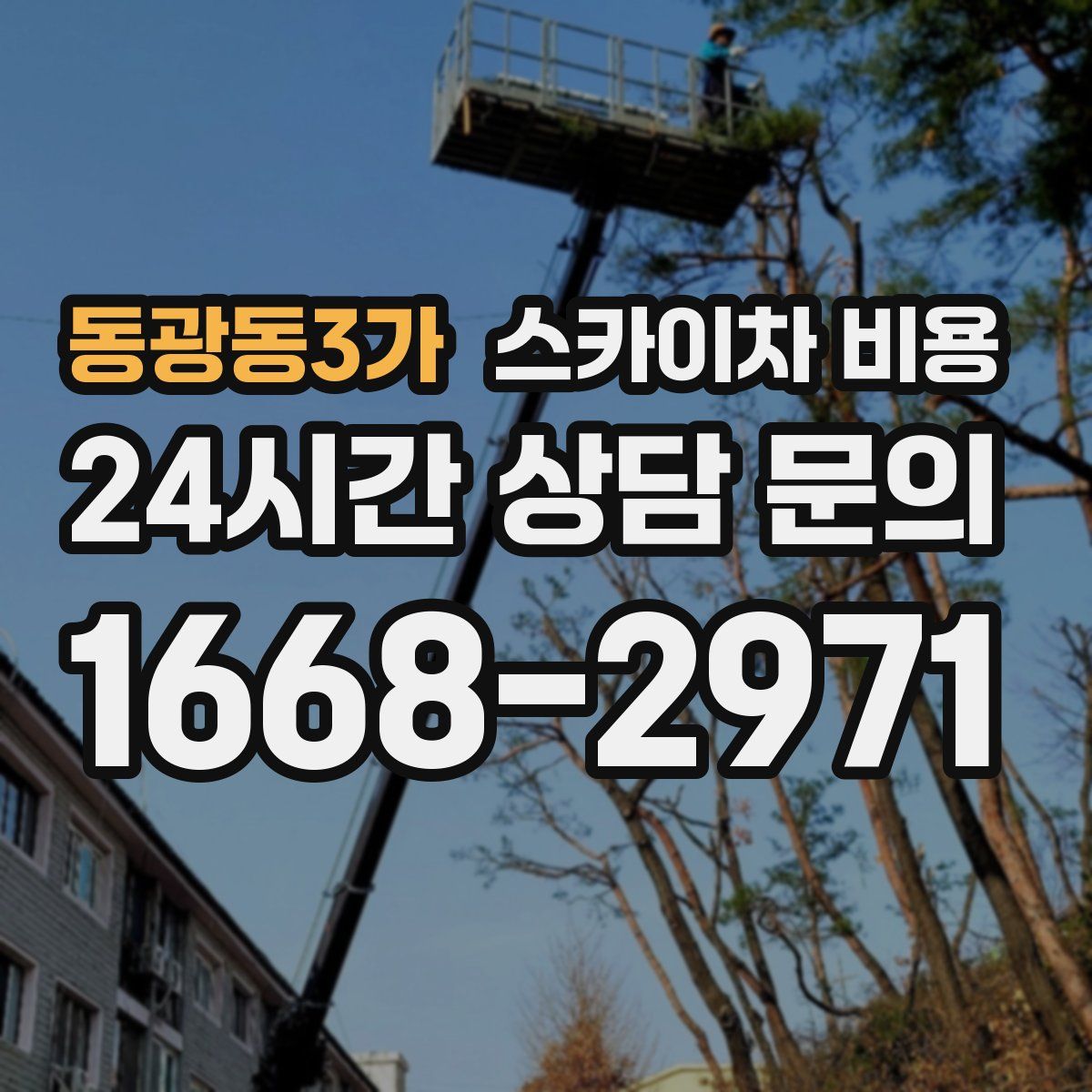 동광동3가 스카이차 비용